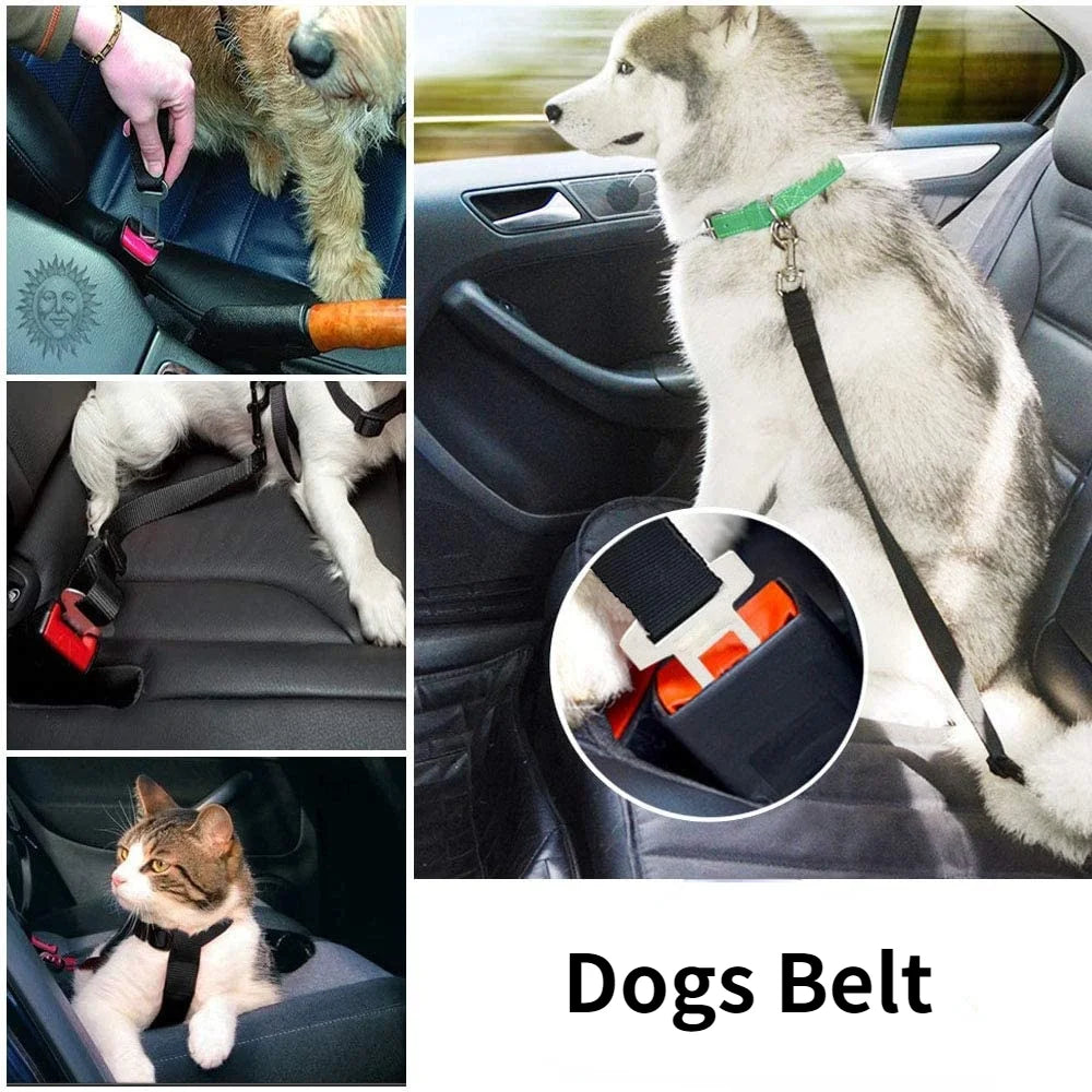Adjustable Pet Car Seat Belt – Dog & Cat Vehicle Safety Harness with Secure Clip