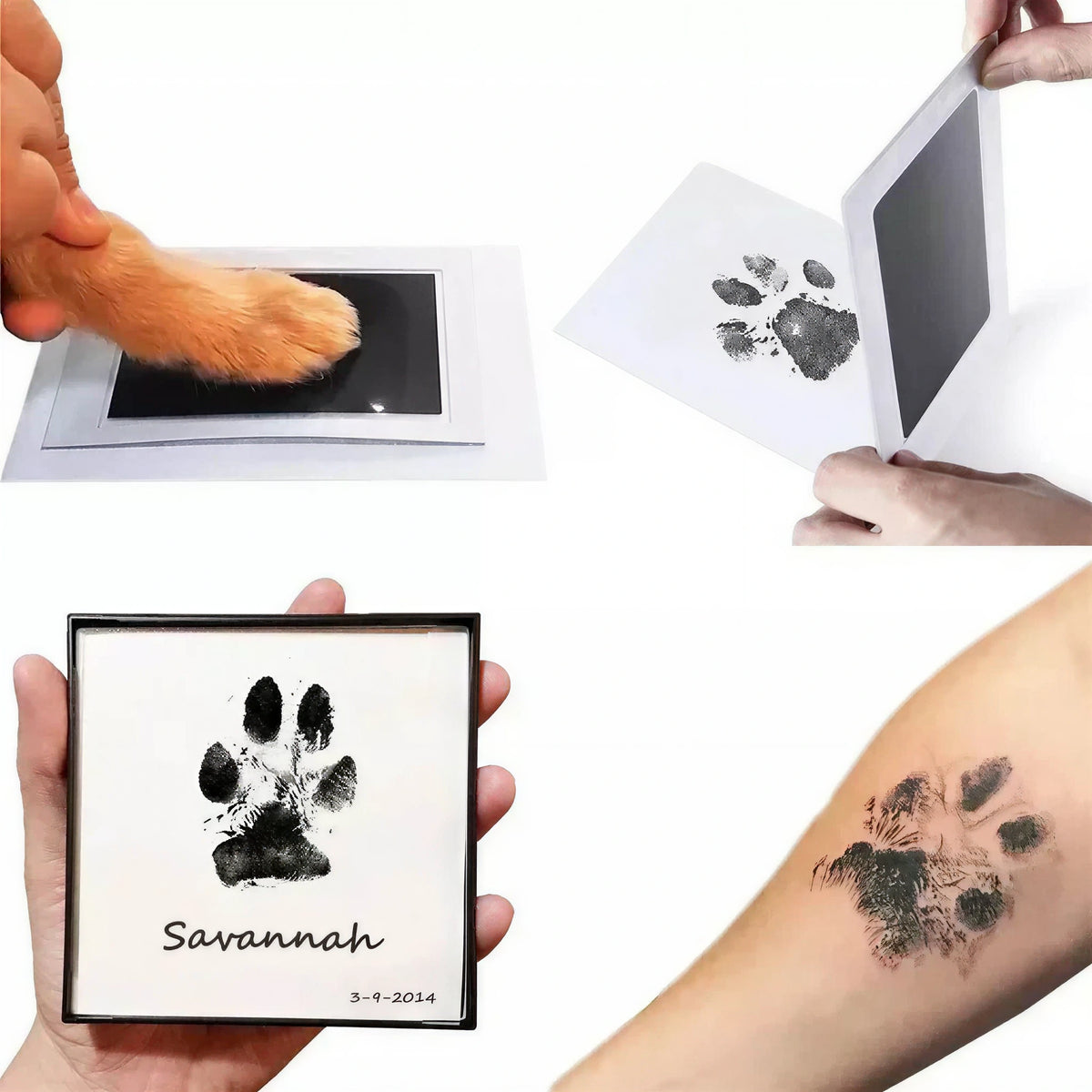 Little North Paws - Little Moments™ Inkless Keepsake Kit
