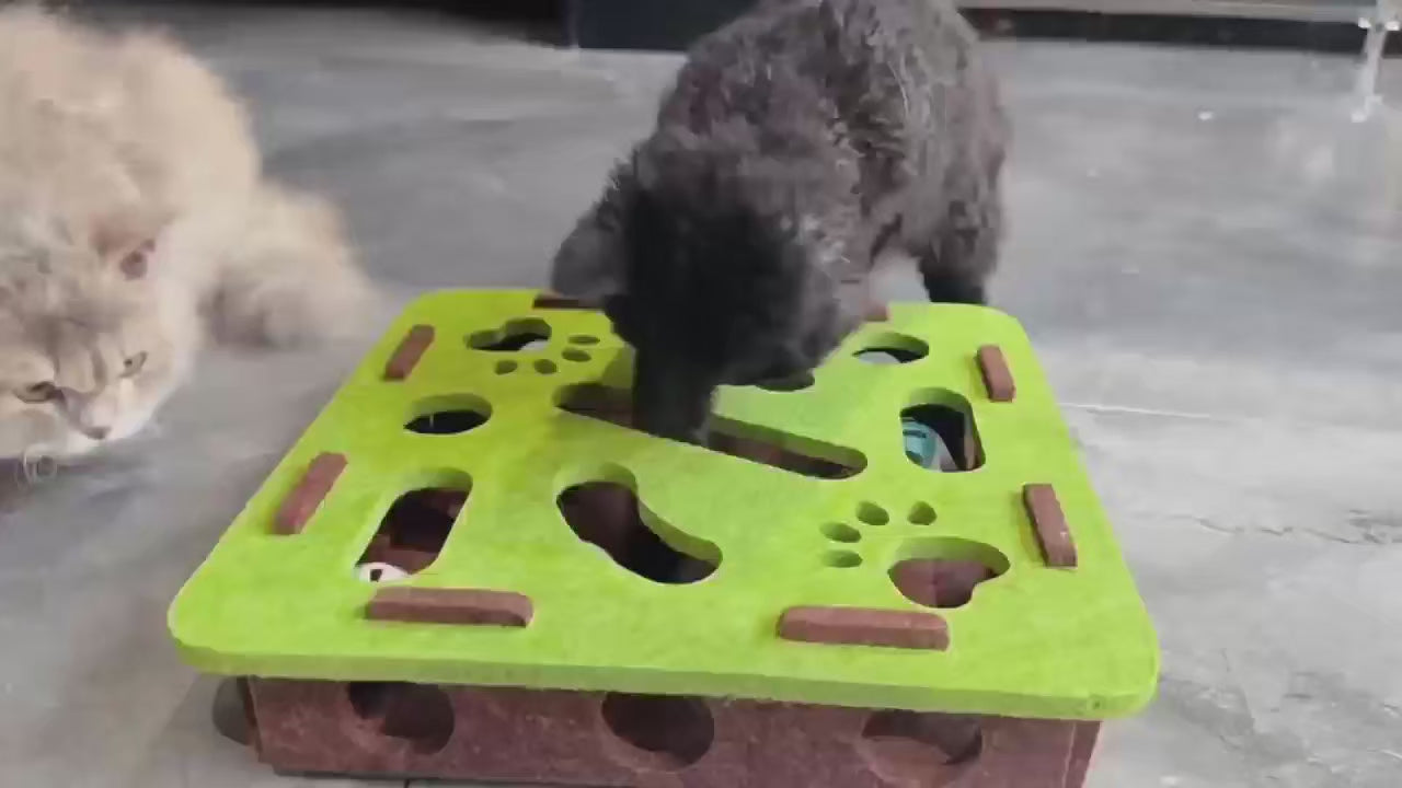 Little North Paws Interactive Felt Cat Puzzle Toy